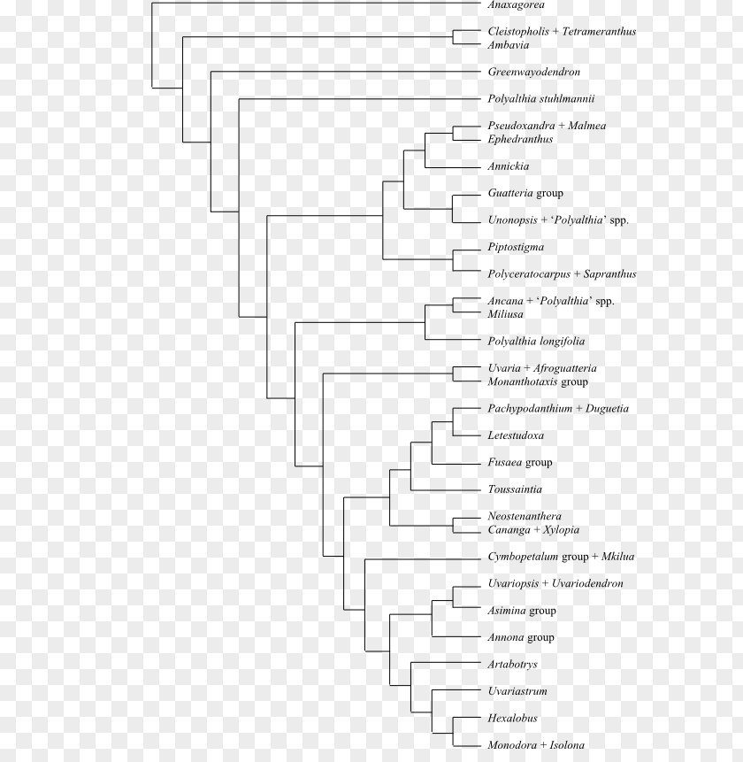 Hainan Element Bootstrapping Phenotypic Trait National Autonomous University Of Mexico Cladogram Phylogenetic Tree PNG