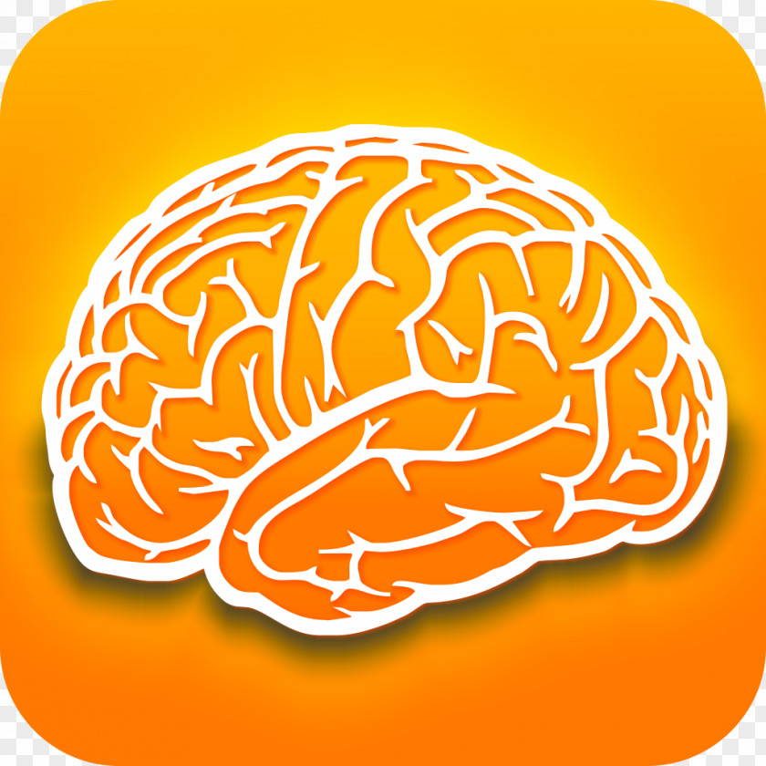 Intellectual Human Brain Dietary Supplement Research Nootropic PNG