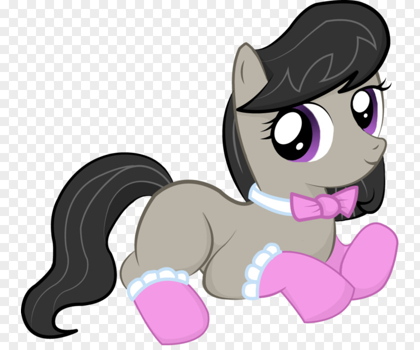 Kitten Pony Sock Desktop Wallpaper PNG