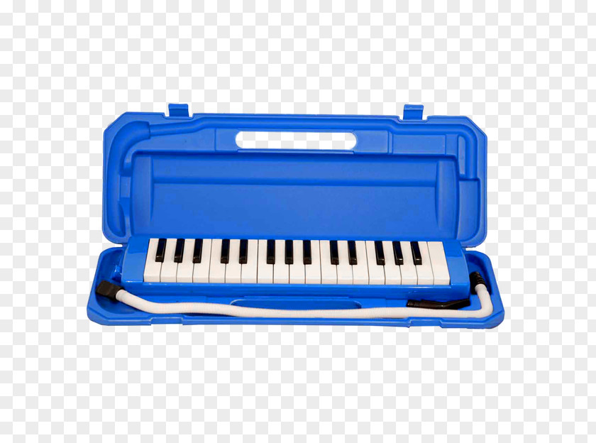 Musical Instruments Melodica Brazil Keyboard PNG
