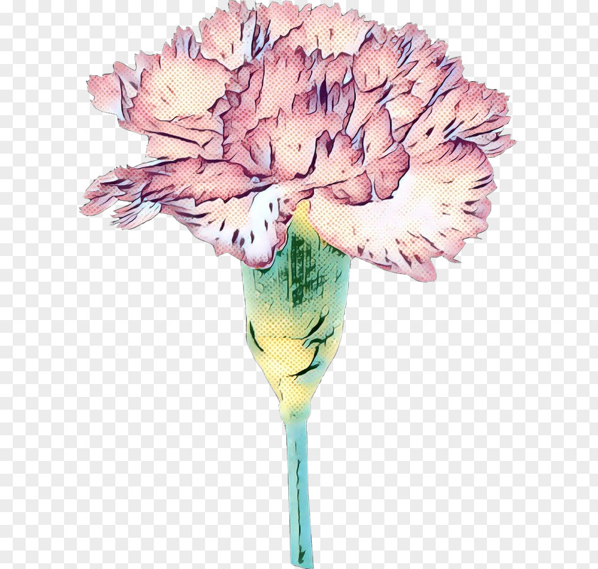 Protea Pink Family Flower Cartoon PNG