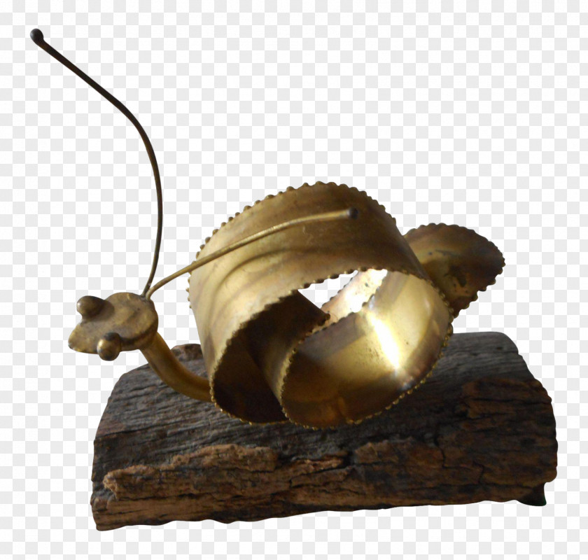 Snail 01504 PNG