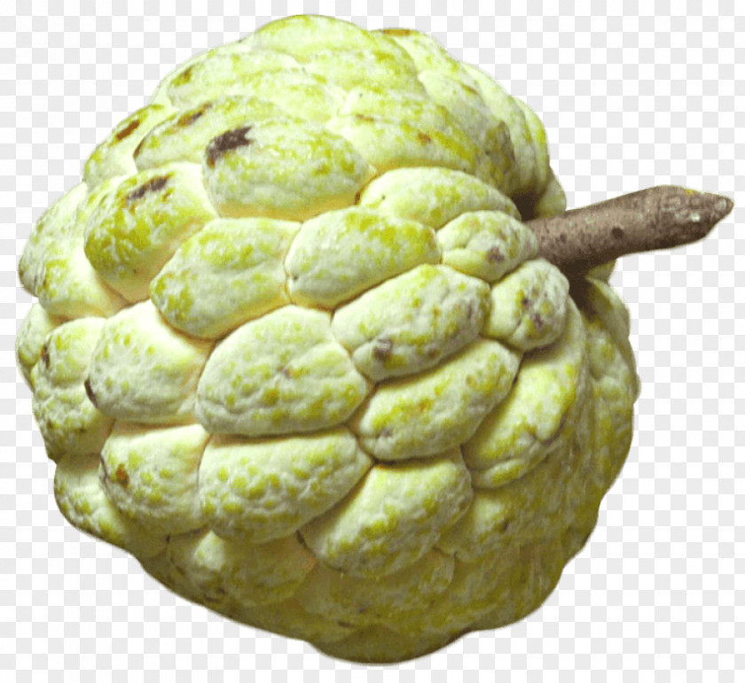 Sugar Custard-apple Sugar-apple Cherimoya PNG