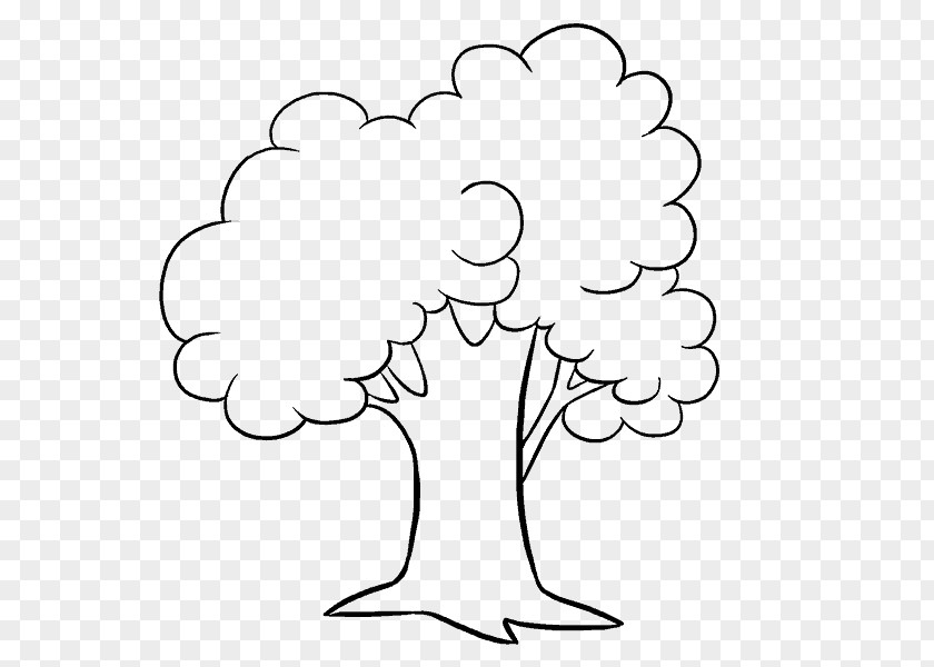 Tree Drawing Sketch PNG