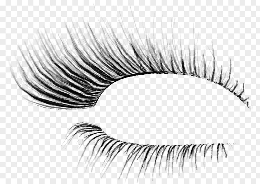 Vv Eyelash Extensions Transparency And Translucency Mascara PNG