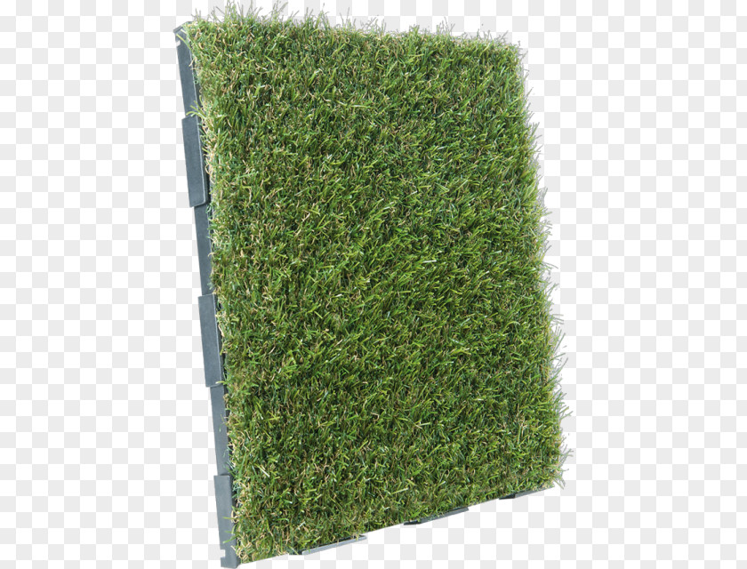 Balcony Artificial Turf Lawn Dalle Garden PNG