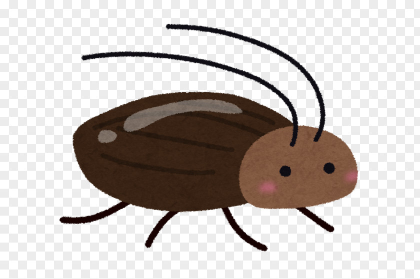 Cockroach Smokybrown Insecticide Termite PNG