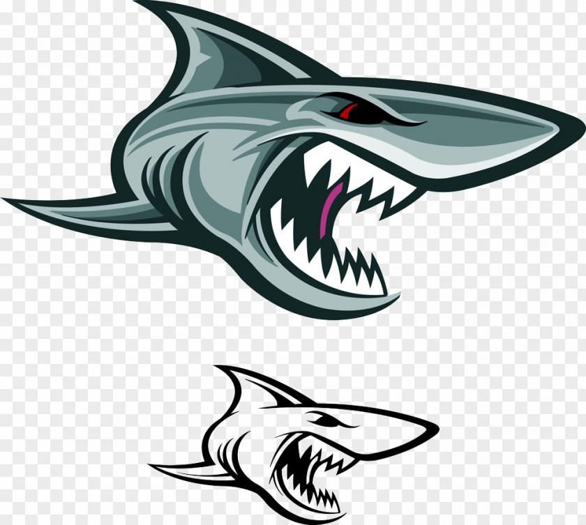 Ferocious Great White Shark Vector Graphics Illustration Stock Photography PNG