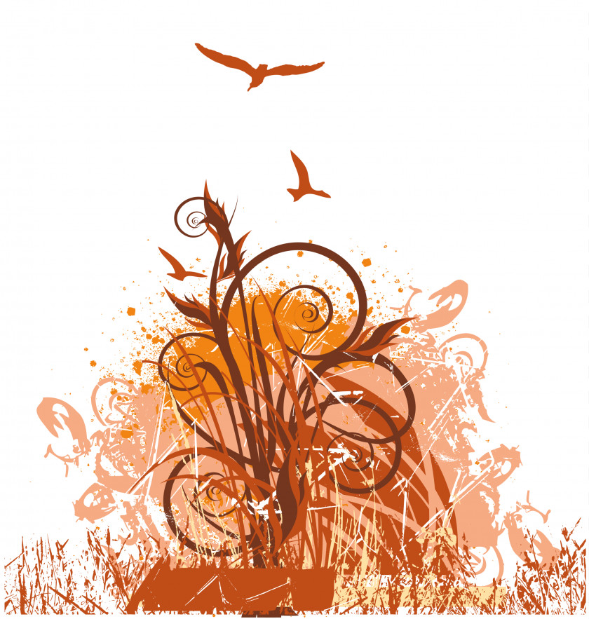 Floral Flourish Cliparts Stock Illustration PNG