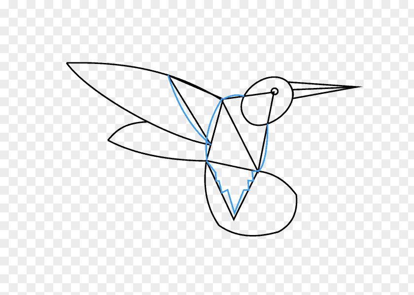 Hummingbird Drawing Line Art Clip PNG