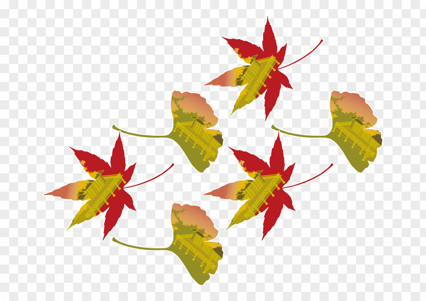 Japanese Maple Leaves Vector Construction Material Leaf PNG