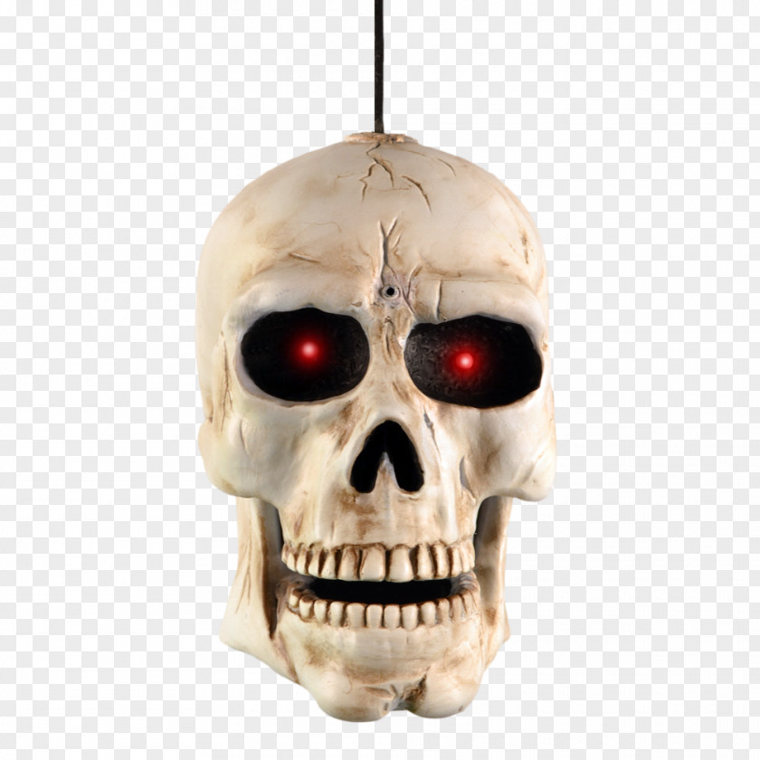 Skull Human Skeleton Death Head PNG