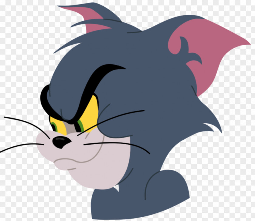 Tom And Jerry Cat Kitten Talking Friends PNG