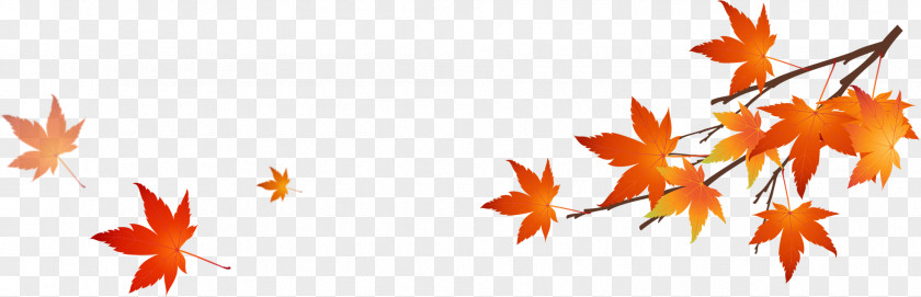 Autumn Leaves Text Leaf Illustration PNG