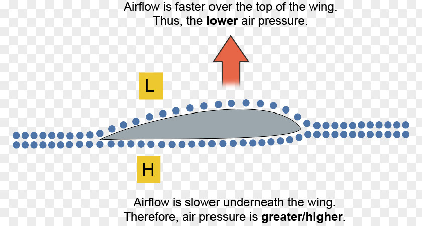 Bernoulli's Principle Fluid Dynamics Lift Mechanics PNG