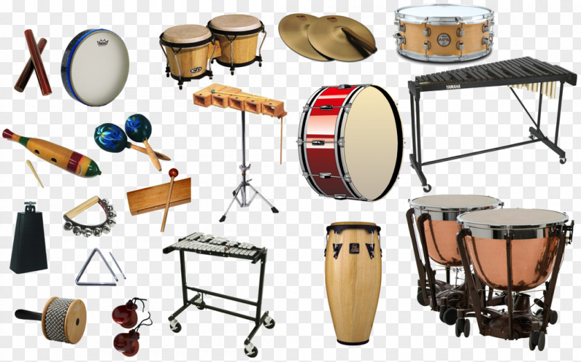 Family Percussion Musical Instruments Woodwind Instrument Drum PNG