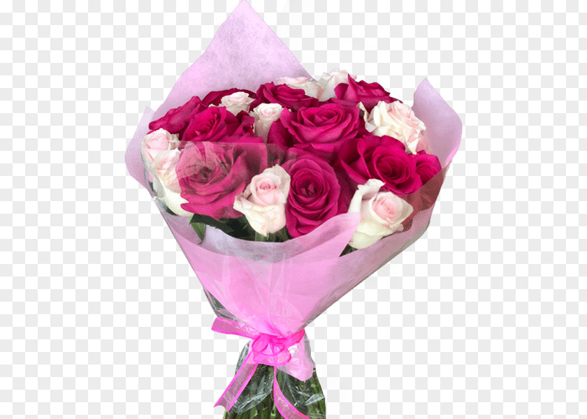 Hybrid Tea Rose Magenta Pink Flowers Background PNG