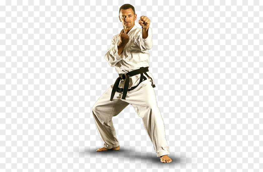 Mixed Martial Arts Karate Taekwondo Brazilian Jiu-jitsu PNG