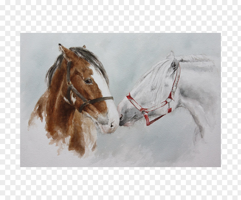 Painting Bridle Stallion Shire Horse Halter PNG