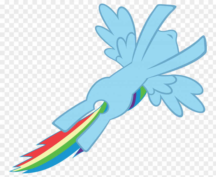 Rainbow Dash Pinkie Pie Pony Fluttershy PNG