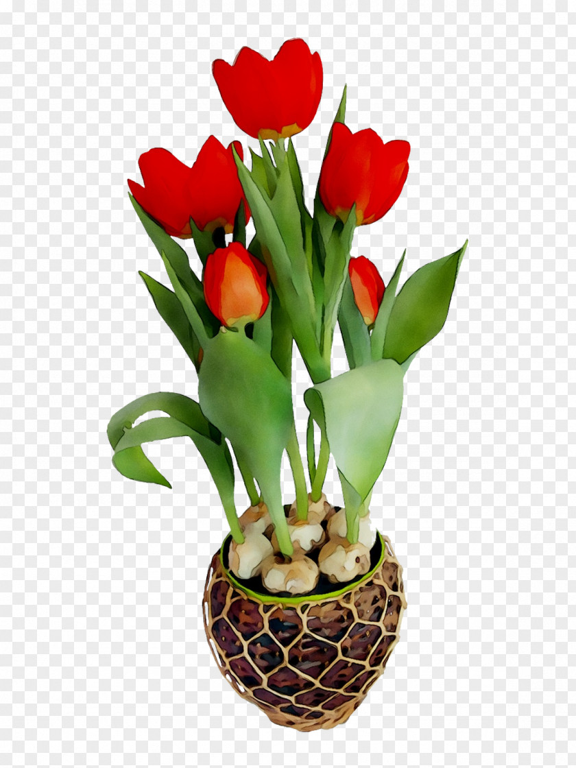 Tulip Floral Design Cut Flowers Flower Bouquet PNG