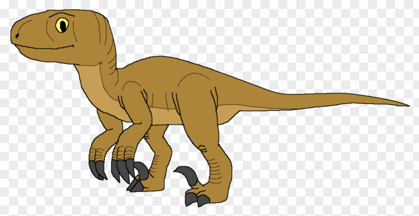 Velociraptor Dinosaur Drawing Cartoon Tyrannosaurus PNG