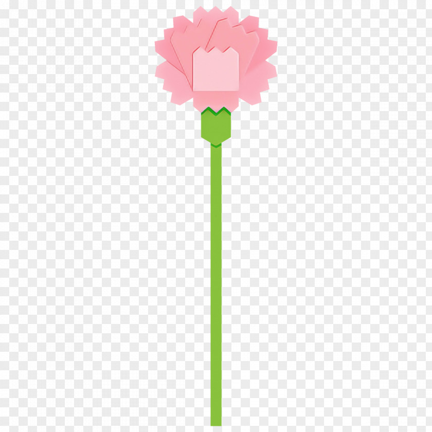 Carnation Flower PNG