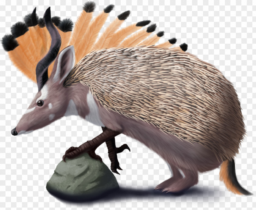 Common Opossum DeviantArt Ceratia Artist PNG