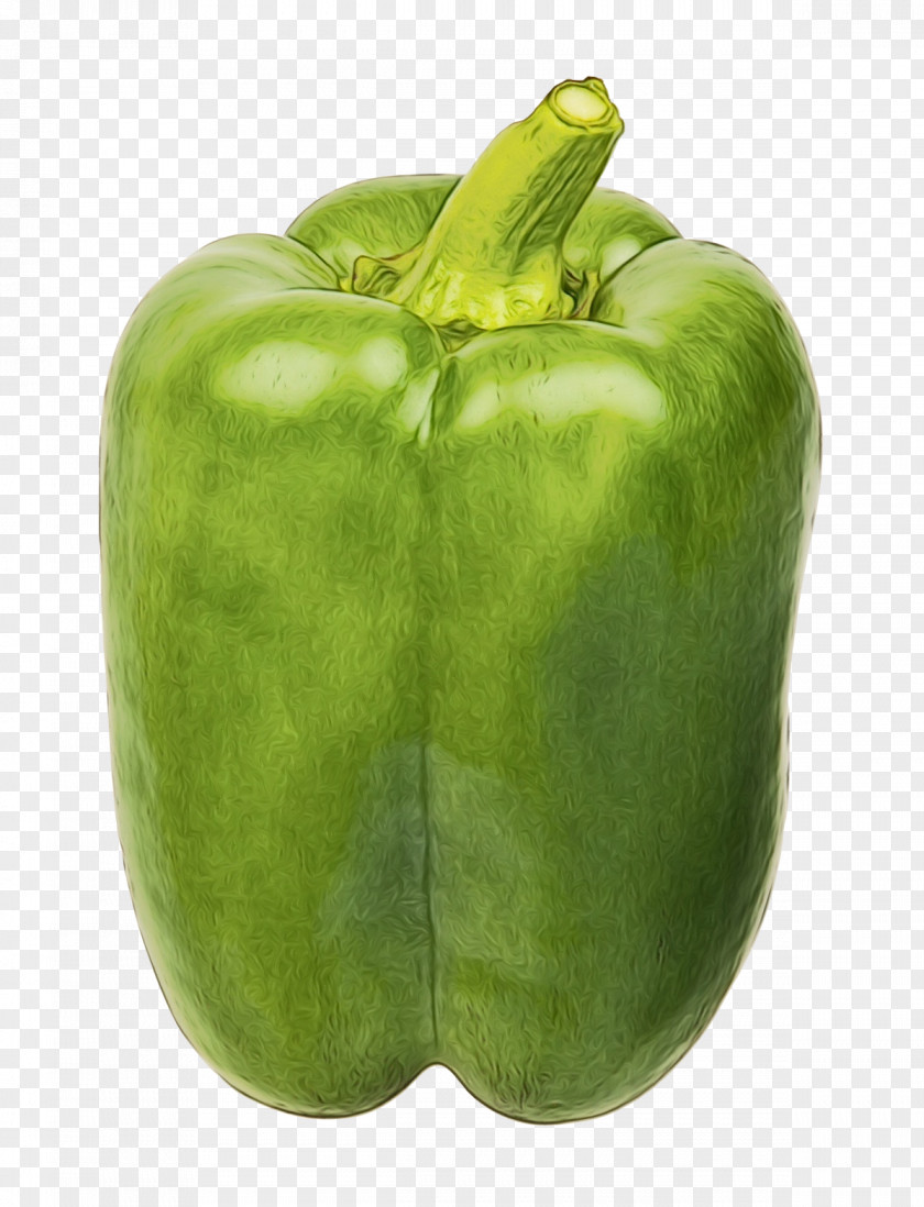 Natural Foods Plant Bell Pepper Pimiento Green Vegetable PNG