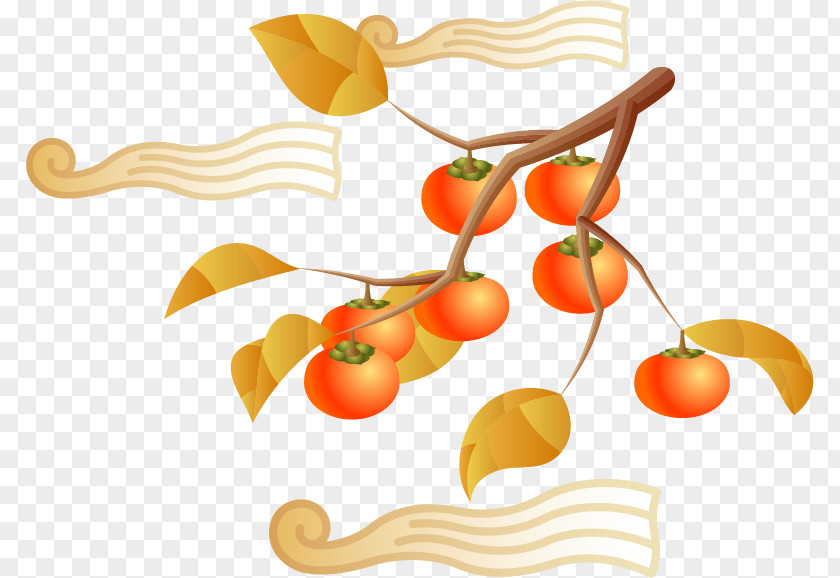 Persimmon Tree Vector Material Japanese Fruit Vegetarian Cuisine PNG