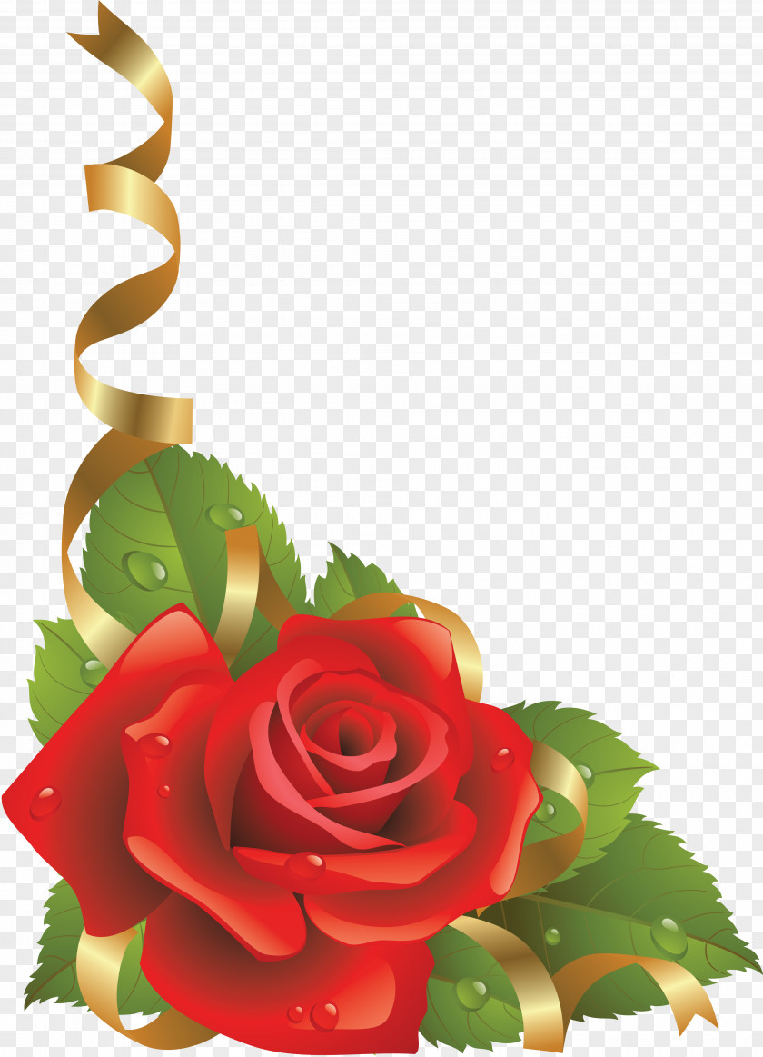 Rose Picture Frames Clip Art PNG