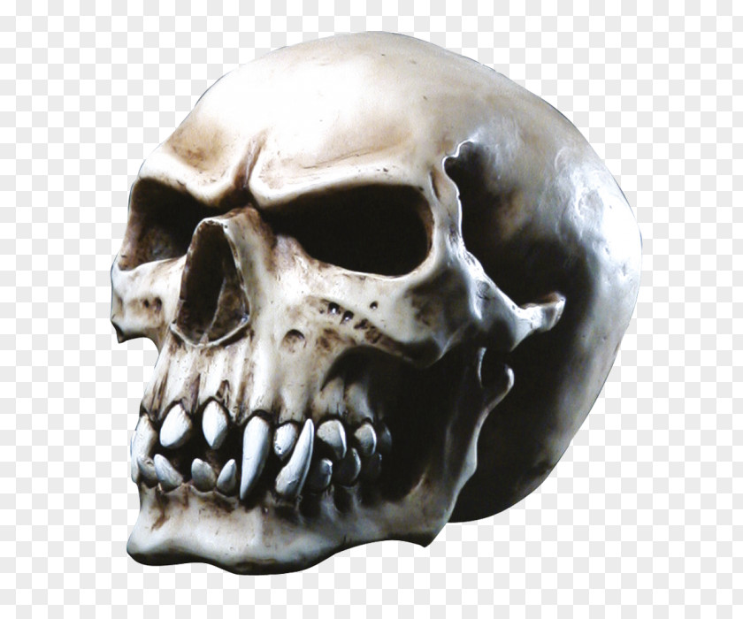 Skull Orc Totenkopf Vampire Goth Subculture PNG