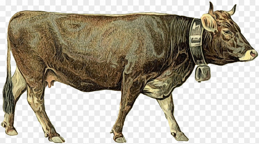 Dairy Cattle Ox Goat Bull PNG