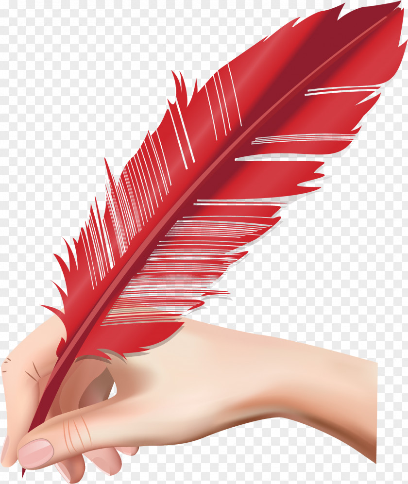 Feather Pen Logo Quill Vector Graphics Clip Art Paper Pens PNG