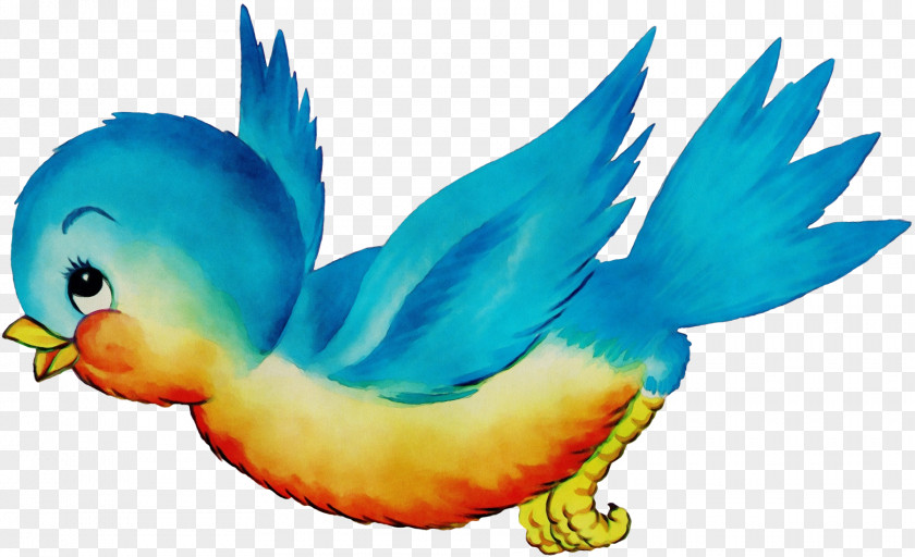 Feather PNG