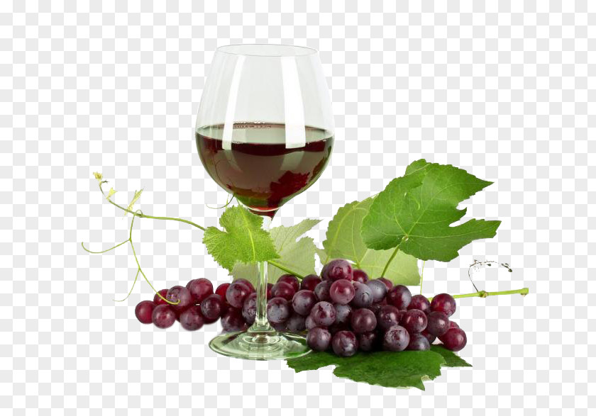 Red Wine Grapes Pinot Meunier Champagne Shiraz PNG