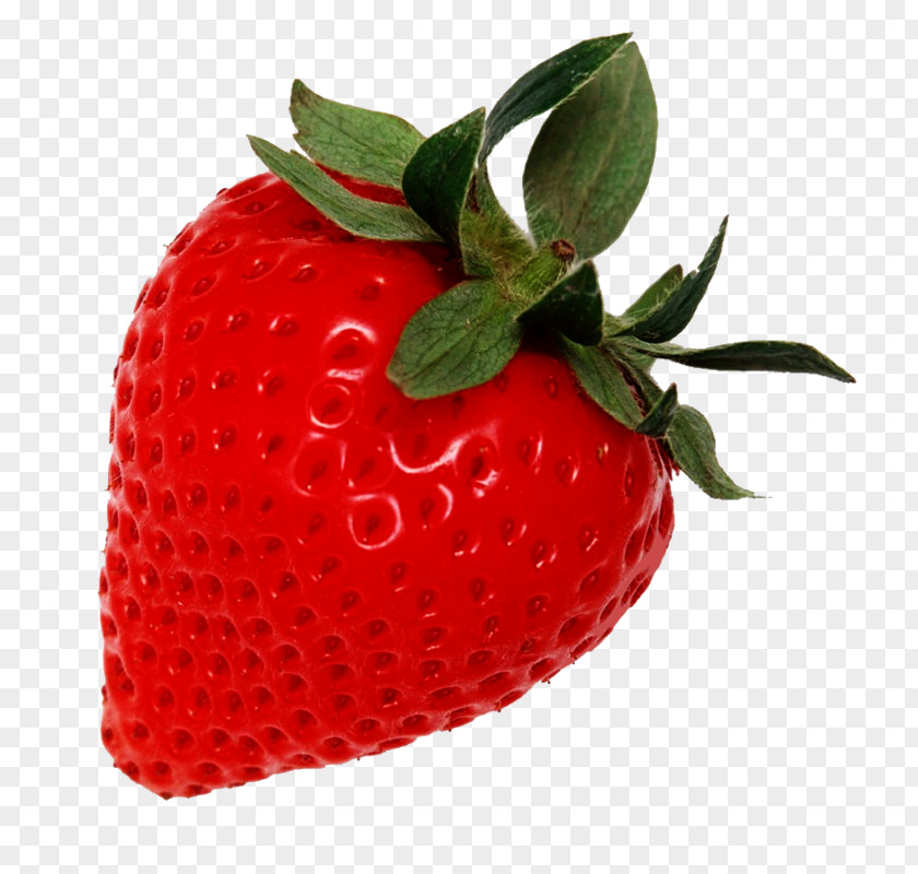 Strawberry Vector 2017 Florida Festival Fruit Since Morning Juice PNG