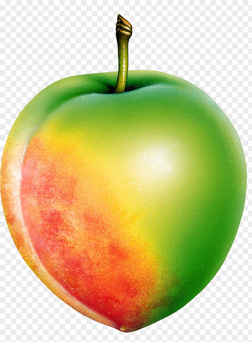Apple Fruit McIntosh Red Berry Clip Art PNG