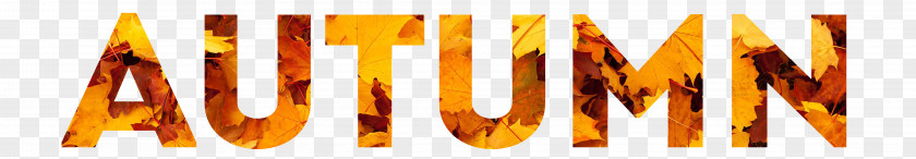 Autumn Text Fall Leaf Project Clip Art PNG