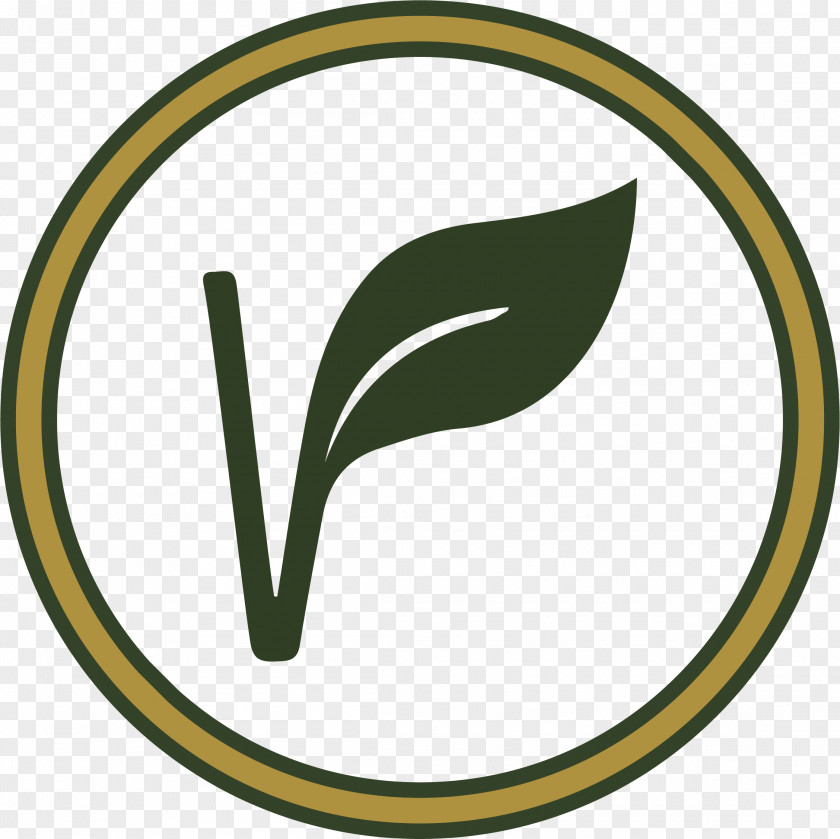 Baunilha Banner Indiana Clip Art Logo Brand Green PNG