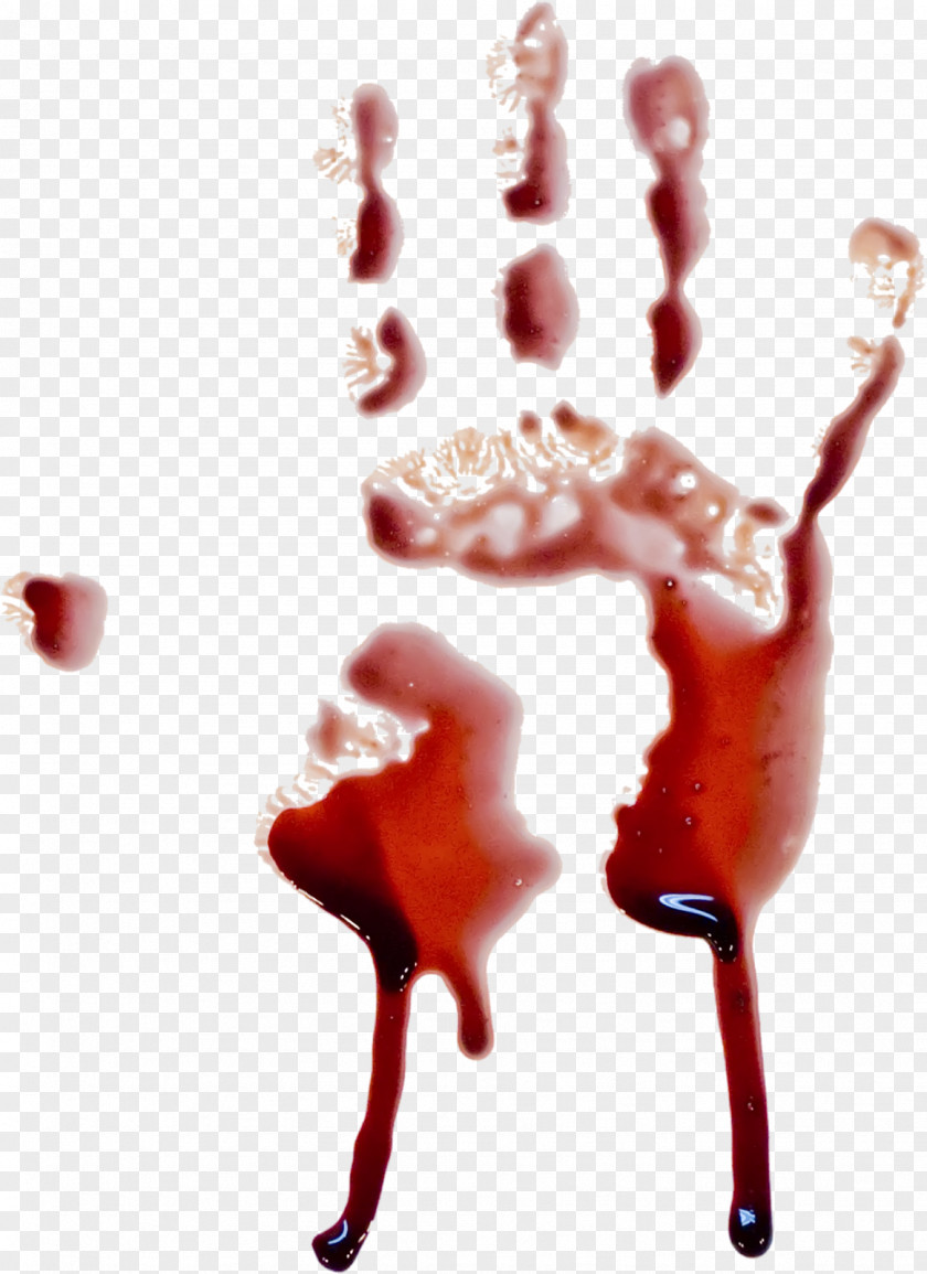 Blood Plasma Clip Art PNG