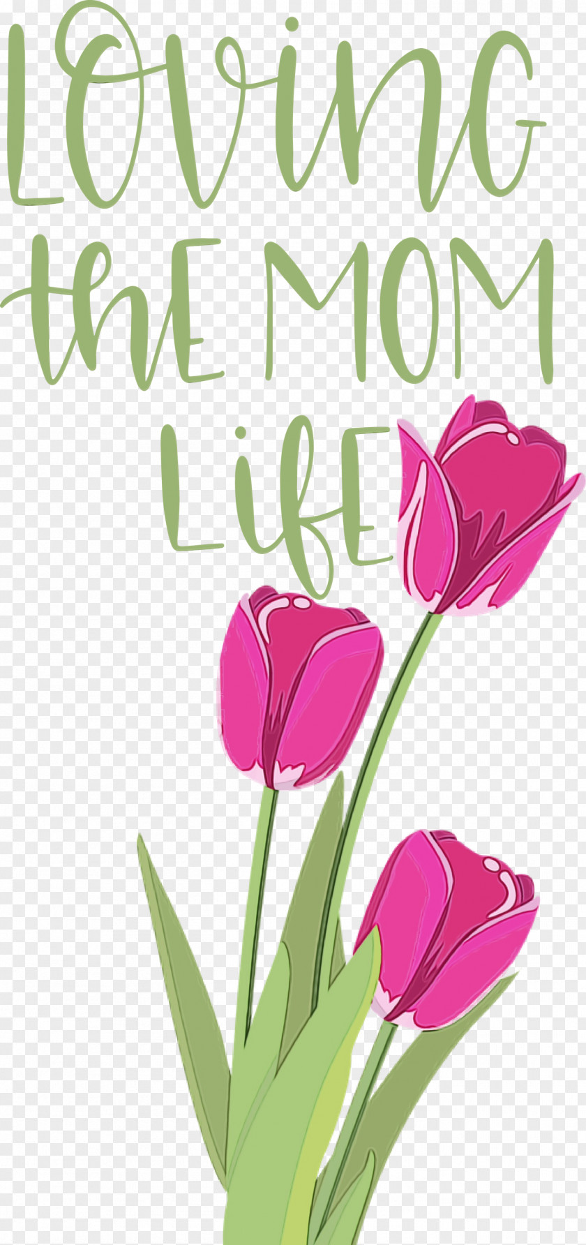 Floral Design PNG