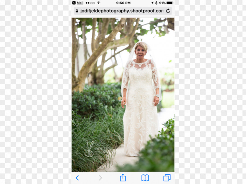 Wedding Dress Bride Gown PNG