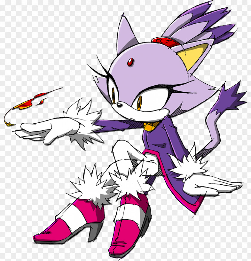 Blaze The Cat Sonic Hedgehog Rush Adventure PNG