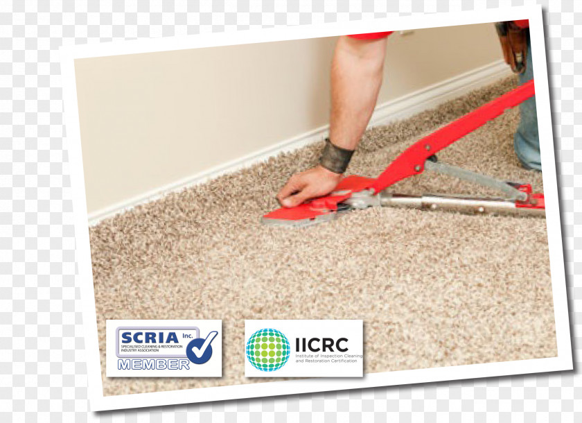 Carpet Cleaning Flooring Water Damage PNG