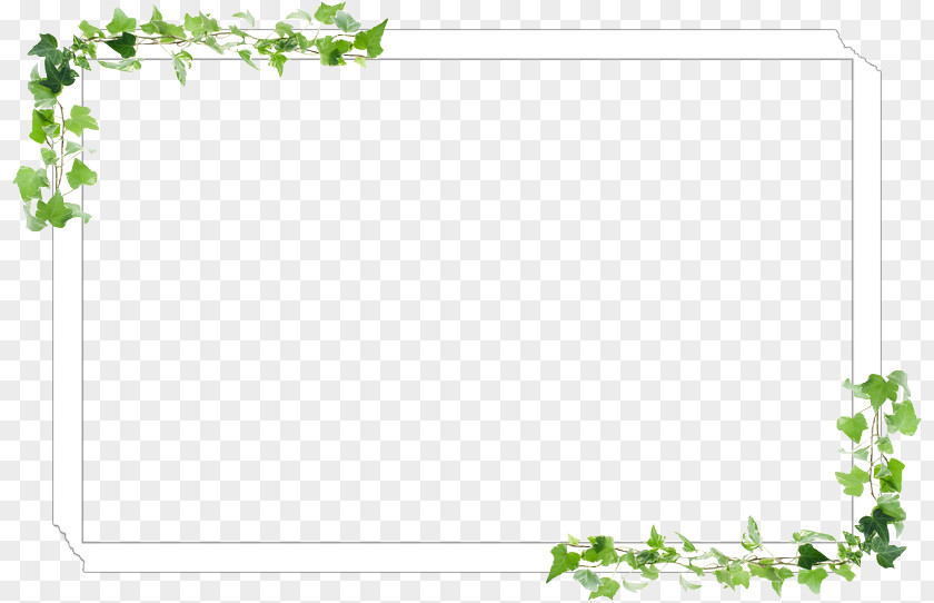 Design Picture Frames Floral Leaf Pattern PNG