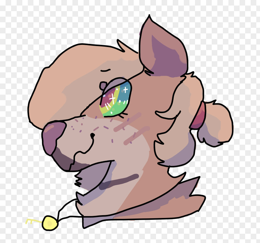 Kitten Whiskers Cat Snout Dog PNG