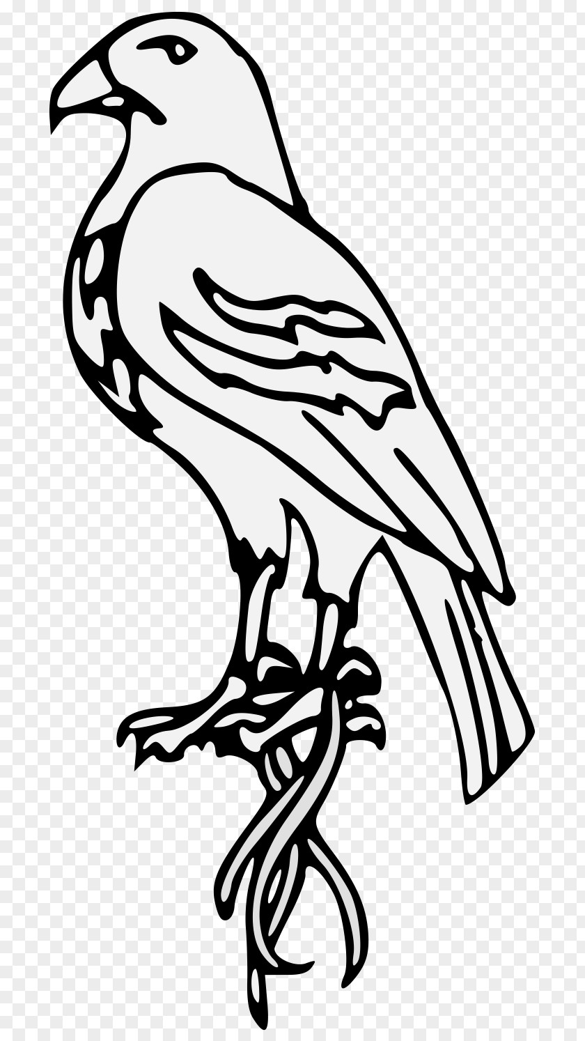 Posture Badge Chicken Clip Art 11 Birds PNG
