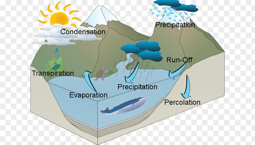 Water Cycle Resources PNG