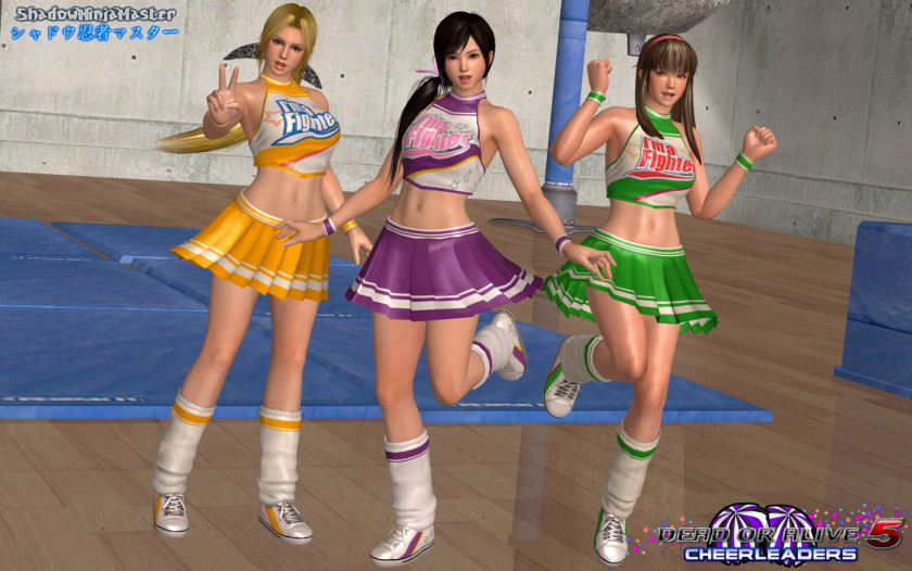 Cheerleader Dead Or Alive 5 Last Round Ultimate Alive: Dimensions Hitomi PNG
